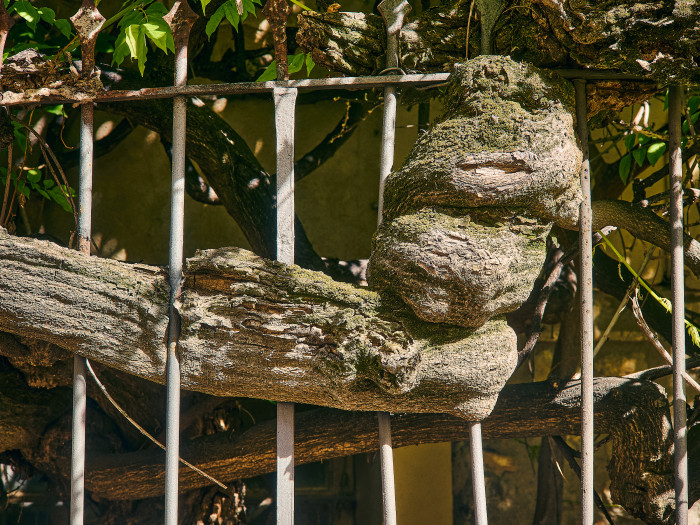 08-Pc13-2025-09-20 11.43.46